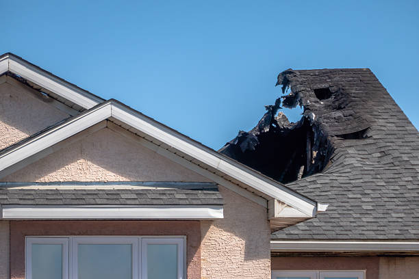 Top rated local Fire Damage Removal specialists in Neshanic Station, NJ